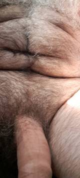 A cock with white hair but ultra-hard and thick