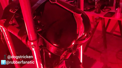 Rubber Gimp in latex with electro getting spanked