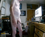 Obeying a Fan's Instructions on Live Web Show