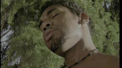 Beautiful Blonde Fucked by Black Man in the Woods