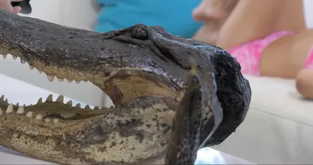 /beam/67a861f6cc498f247e823c9c