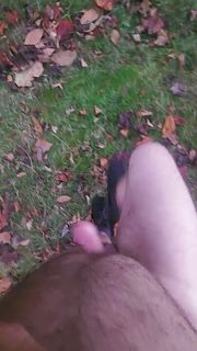 Round the house