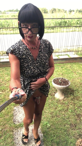 Wanderin' in the Garden Like a Bitch