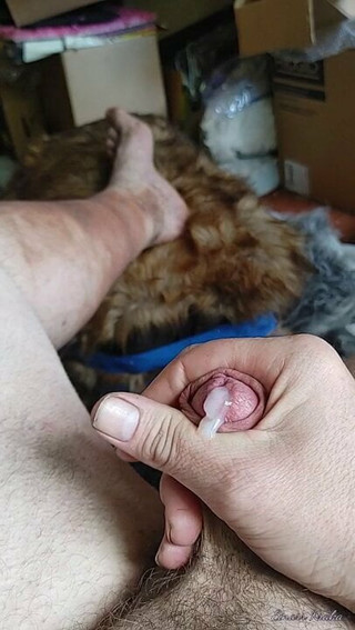 Cumming in chair.