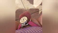 Sissy loser faggot ballbusts and deepthroat