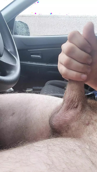 Quickie in the car
