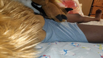 Stroking my cock with big paws, cumming over myself 3 times