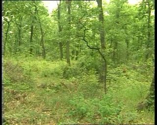 /beam/67a86186cc498f247e7cc96a