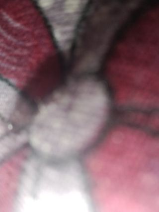 /beam/67a861f0cc498f247e81e6e0