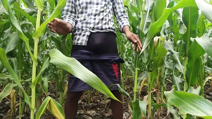 /beam/67a86235cc498f247e8549a9