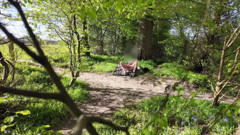 Shagging amongst the blue bells