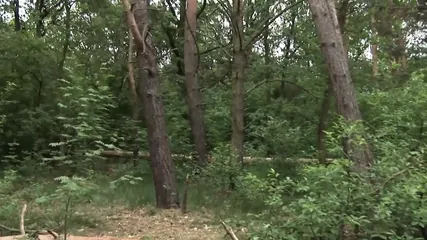 /beam/67a86254cc498f247e86ba51