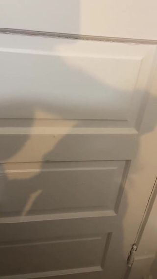 /beam/67a8602ecc498f247e686ef4