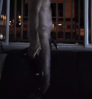 Showing my dick to the neighbors