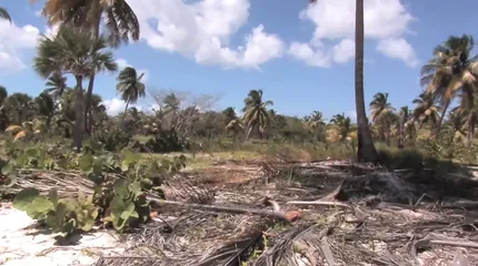 /beam/67a861e0cc498f247e812406