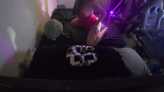 Southmericangoonroom - White Bunnie Bts 2