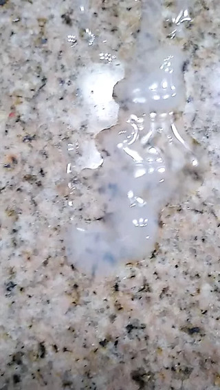 Big cumshot