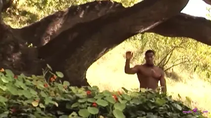 /beam/67a86353cc498f247e933bc9