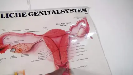 /beam/67a8620ecc498f247e83561d