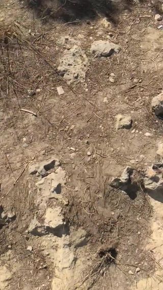 /beam/67a860f2cc498f247e74443d