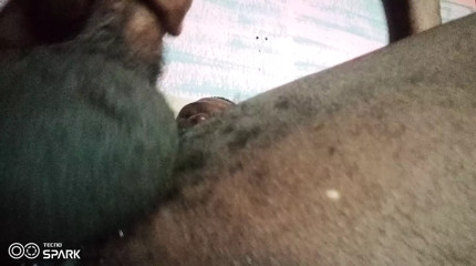 Black cock
