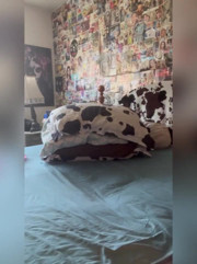 Fresh Sheets