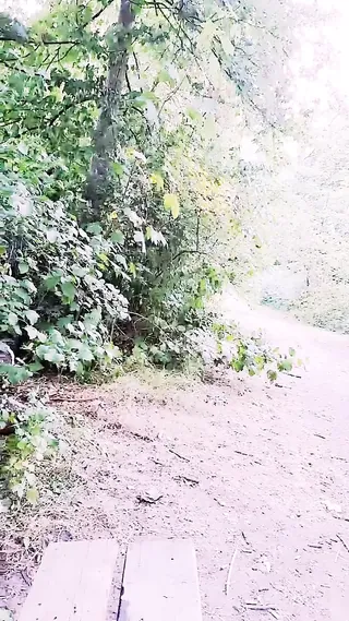 /beam/67a861d9cc498f247e80cac3