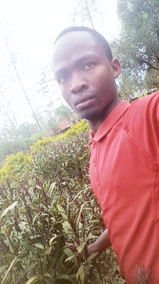 Solo Outside