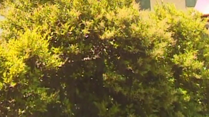 Versaute Fantasie l&auml;uft komplett aus dem Ruder wenn