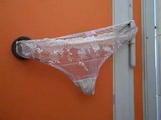 Panties left in a public loo in Bridport