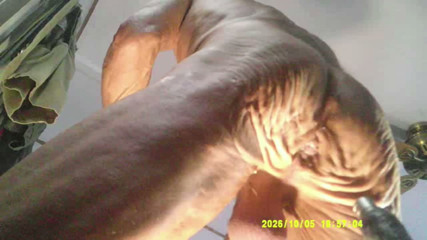 10-5-2026 FUCK MACHINE COMPILATION LOW AUDIO AT FIRST COBRA BAD CUMM SPANK ME.