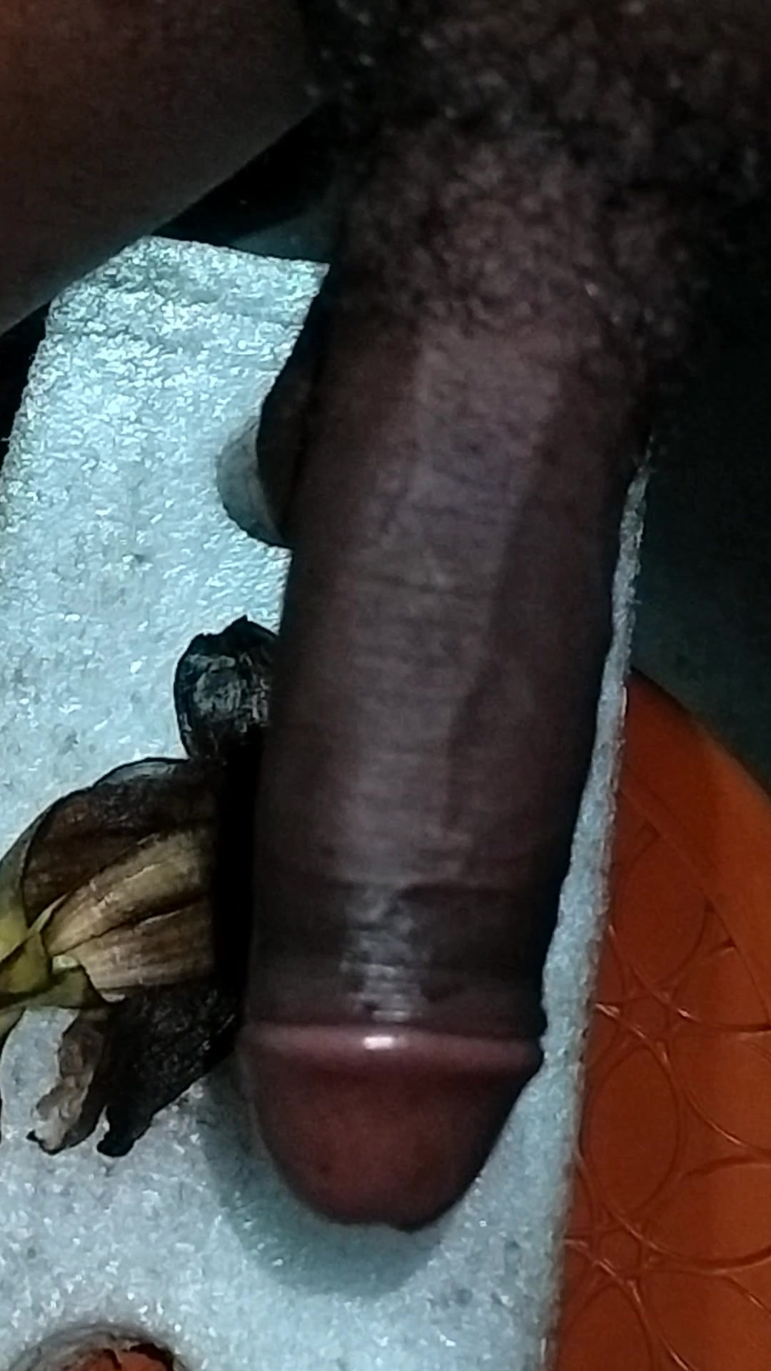 Aaj bhabhi ko puri raat chudunha 15 inch land se