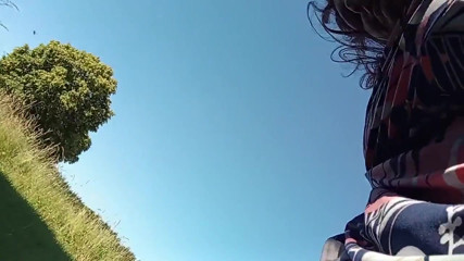 Muste Piss