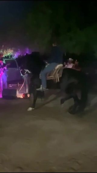 /beam/67a86085cc498f247e6dd1b2