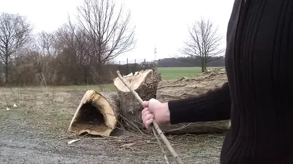 /beam/67a861ebcc498f247e81b0db