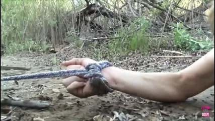 /beam/67a862bbcc498f247e8bb100