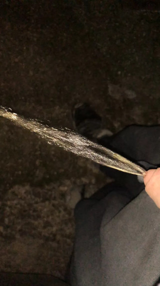 I piss in a public road