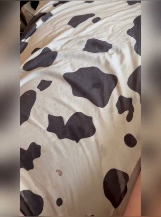 Nympho Unsupervised