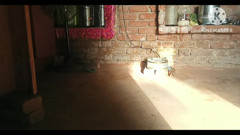 Desi Village bhabhi sex with padosi Dever hasband not home part 2