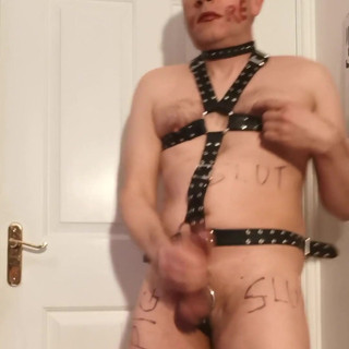 Pig slave harness