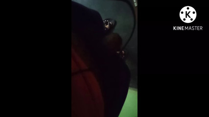 Indian Hot Guy Big Cock- Cum in mouth