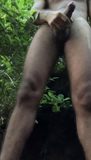 Desi Top wnts to fuck hard with hindi audio