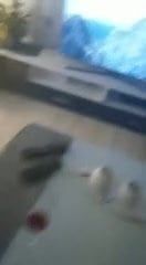 /beam/67a860bacc498f247e71048a