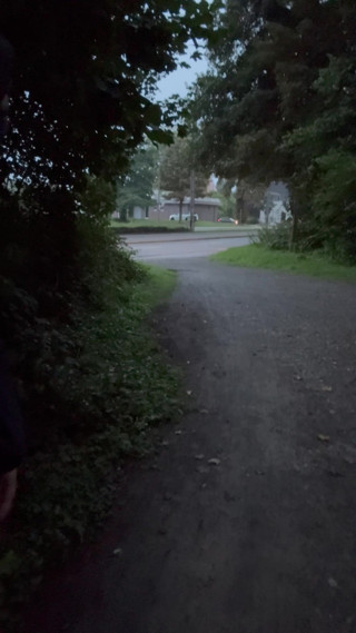 Risky Walking