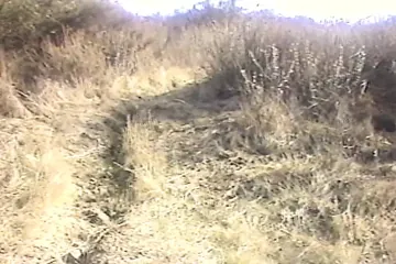 /beam/67a862e4cc498f247e8db921