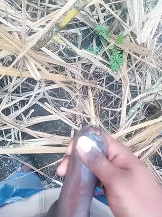 Indian boy
