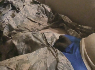 Someone needs to ride my toy soldier.