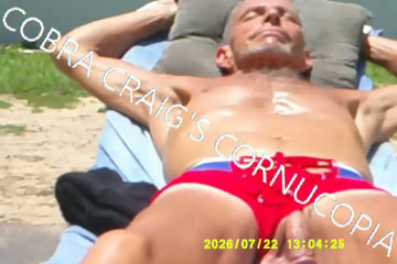 7-19-2026 the Cock the Sun Singing Venus Was Her Name Free Bird Wishing You Were Here
