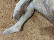 Rubbing my sexy legs in stockings and thong from top to bottom