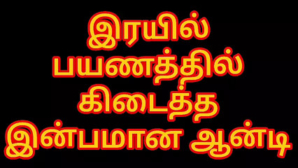 A delightful aunt on a train journey Tamil Story